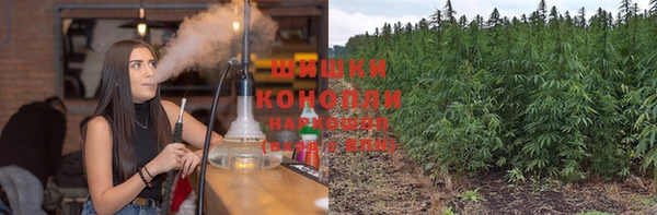 гашиш Богданович